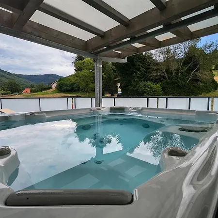 Spacieuse Avec Et Billard, Wifi, Parking Prive - Fr-1-589-698 Ban-de-Laveline
