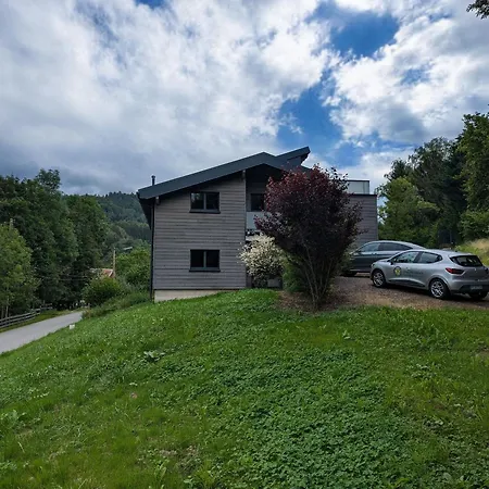 Spacieuse Avec Et Billard, Wifi, Parking Prive - Fr-1-589-698 Ban-de-Laveline
