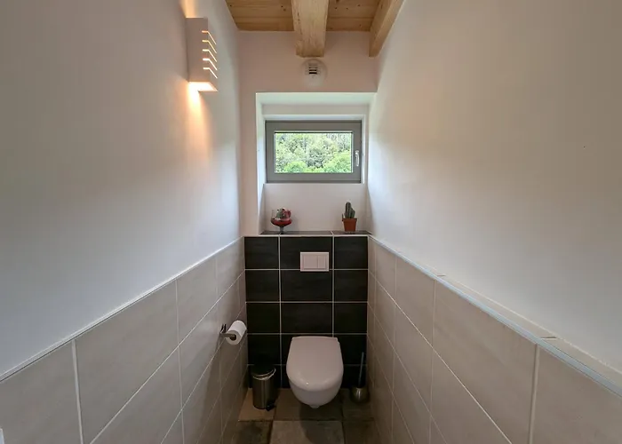 Prázdninový dům Spacieuse Avec Et Billard, Wifi, Parking Prive - Fr-1-589-698 Laveline